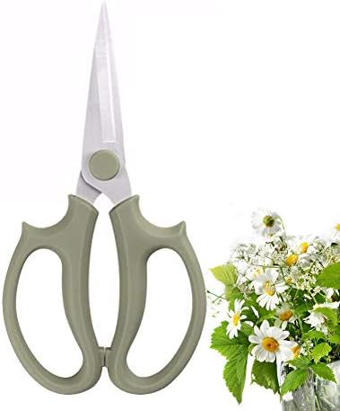 Forbici da giardinaggio e forbici  | Leize Garden Forbici per Fiori, Forbici Florali in Acciaio Inossidabile Spesso di Alta Qualità, Potatore Resistente per Fiori, Rami e Foglie Forbici da giardinaggio e forbici Forbici da giardinaggio e forbici