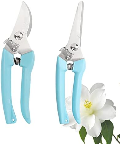 Forbici da giardinaggio e forbici  | Set di Forbici per Fiori 2 Pezzi – Strumenti in Acciaio Inossidabile per Design Floreale, Cutter per Fusti di Fiori, Stripper per Rose e Dethorner (Blu) Forbici da giardinaggio e forbici Forbici da giardinaggio e forbici