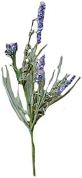 Scelte di giardinaggio  | 17″ Raccolta di Lavanda Lakeside 2 Pezzi, Multi Scelte di giardinaggio Scelte di giardinaggio