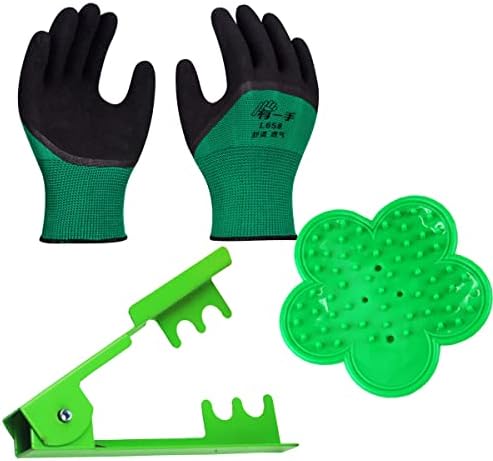 Set di attrezzi da giardinaggio  | Set di 3 Pezzi di Strumenti da Giardino Professionali per Rimuovere le Spine – Kit di Strumenti per Rimozione Spine e Foglie con Guanti da Giardino Set di attrezzi da giardinaggio Set di attrezzi da giardinaggio