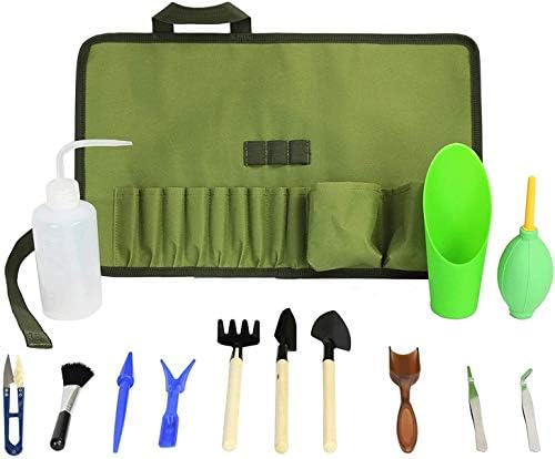 Set di attrezzi da giardinaggio  | Set di Strumenti per Giardinaggio Organizer per Kit di Succulente | Forniture per Terrario Mini Kit di Strumenti per Giardino di Succulente | Set di Vasi per Succulente Bonsai Resistenti per Giardinaggio Indoor | Kit Fairy Zen per Fertilizzante del Terreno e Semi Set di attrezzi da giardinaggio Set di attrezzi da giardinaggio